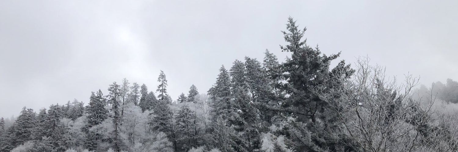 CaiSproul's profile banner image