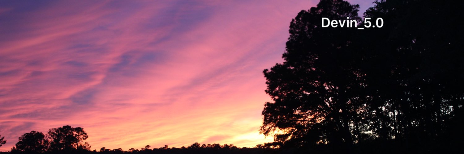 devin990 banner