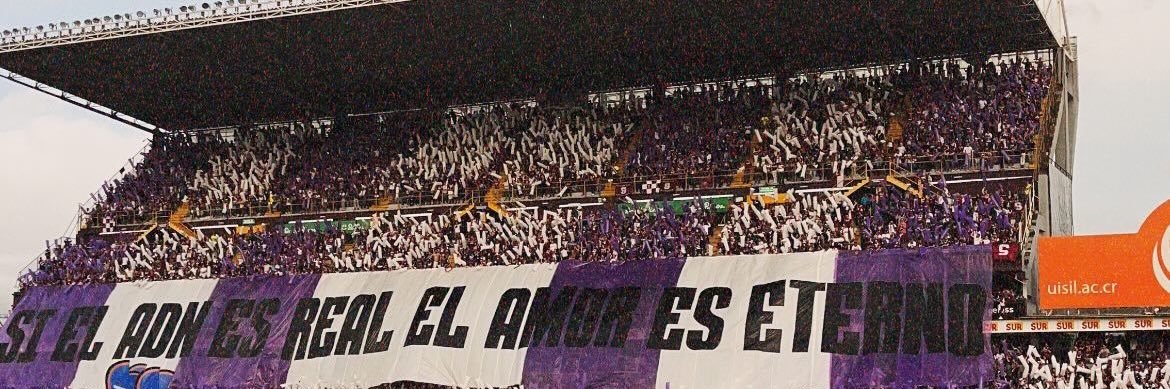 RandyCampos's profile banner image