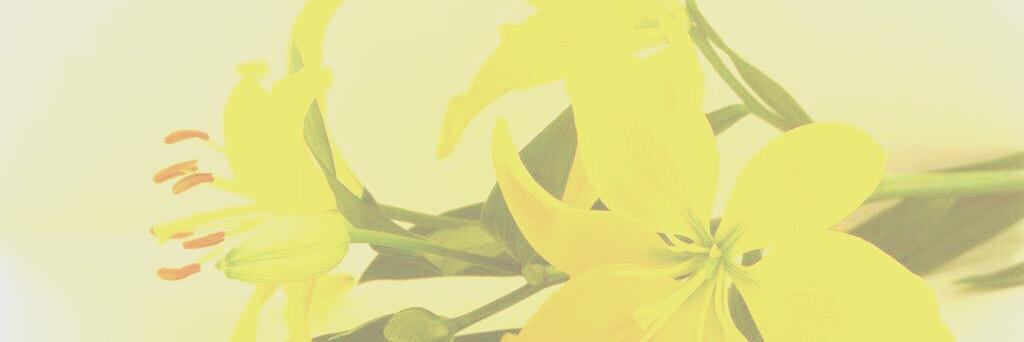 subas___'s profile banner image