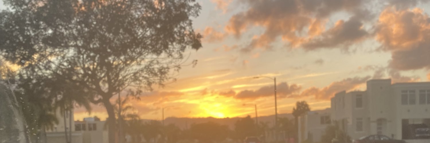 joycemarierr's profile banner image
