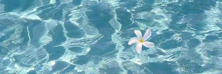 seonli_'s profile banner image