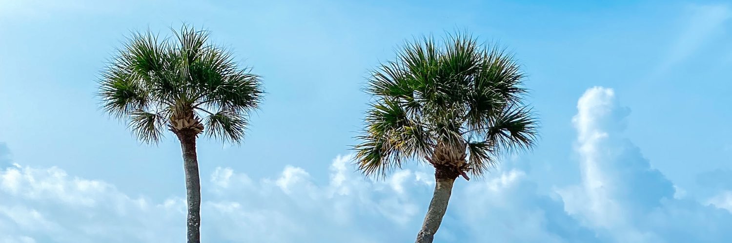 katebowdenn's profile banner image
