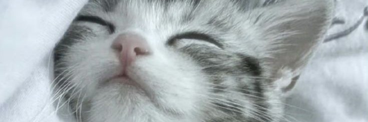 groury1's profile banner image