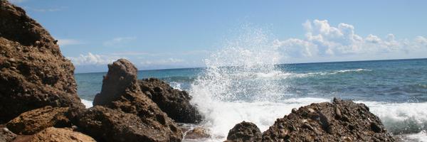 marieflori3 Profile Banner