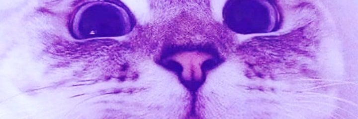 rohailibrahim10's profile banner image