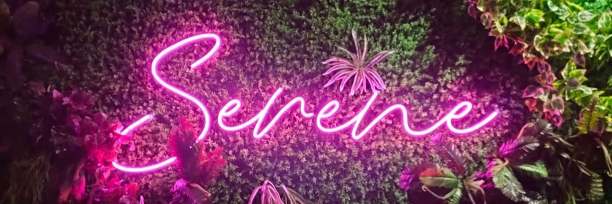 wee_serene's profile banner image