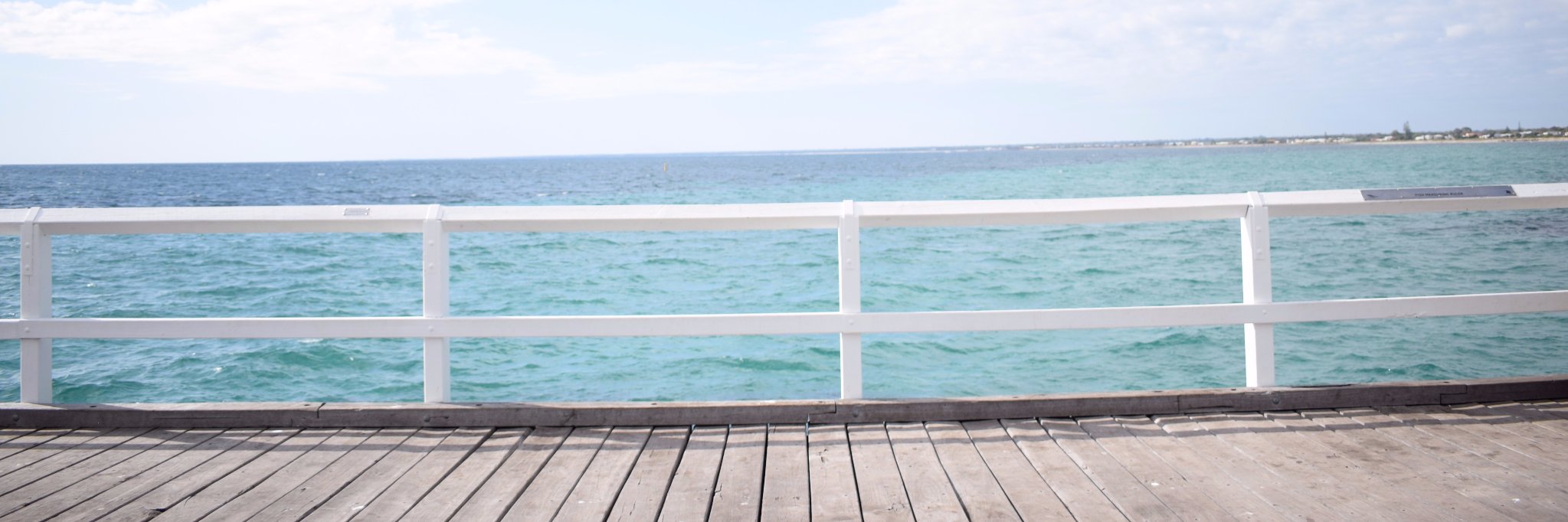 jelly_w98's profile banner image