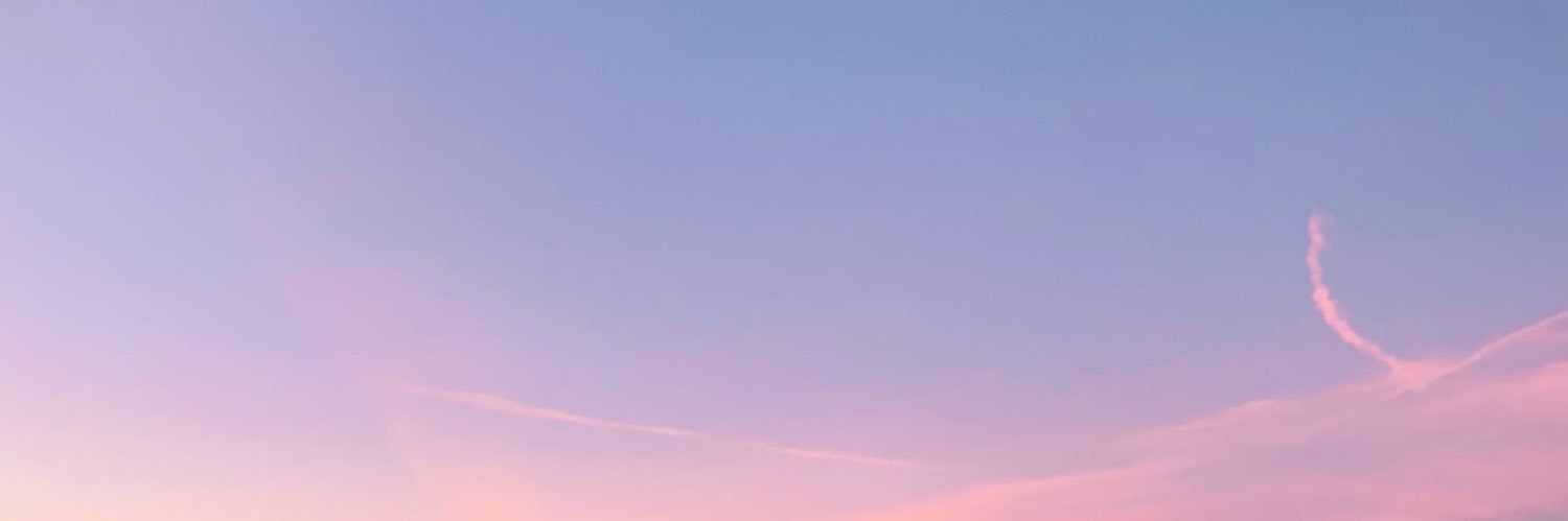 baesicn's profile banner image
