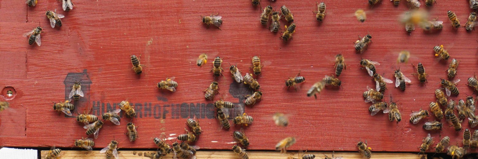 Andreas Kasche • HB • banner