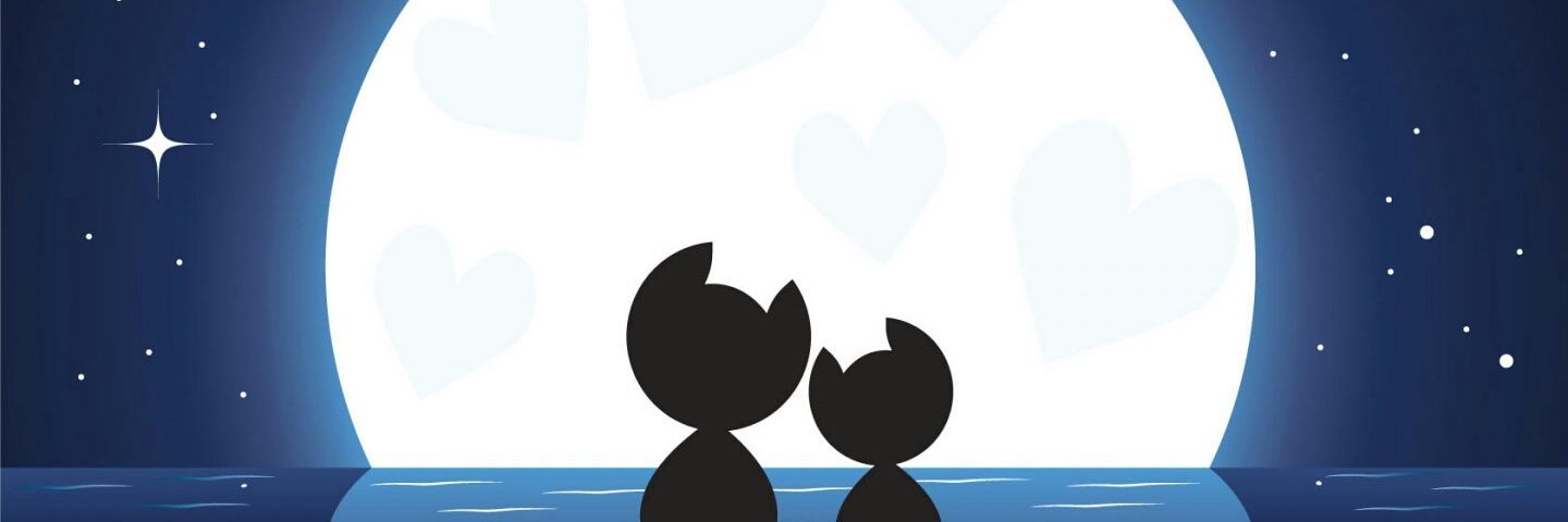 TheuzLim's profile banner image