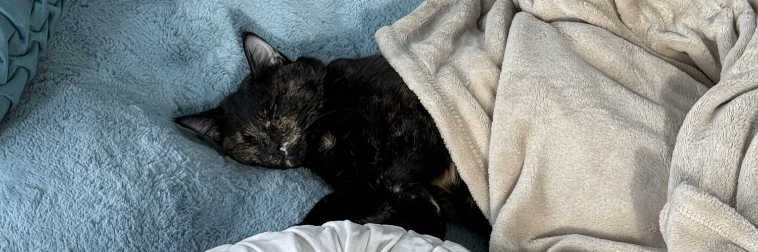 JuliaaaThomson's profile banner image