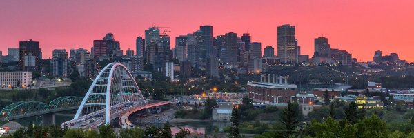 Halpingal Profile Banner