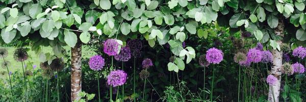 gillianmarles Profile Banner