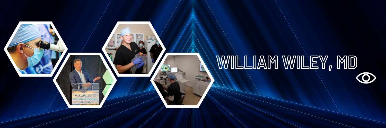William Wiley banner