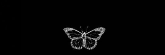 giannagraham27's profile banner image