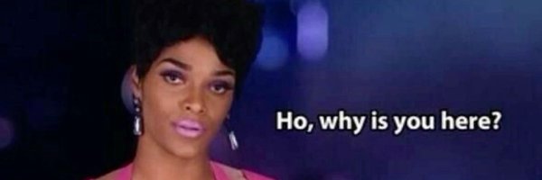 leekthefool Profile Banner