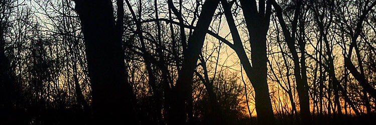 ChrisBachman5's profile banner image