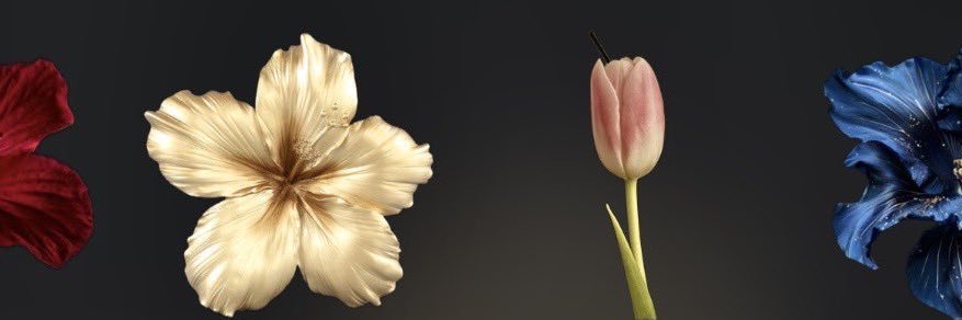 eliaspeitia's profile banner image