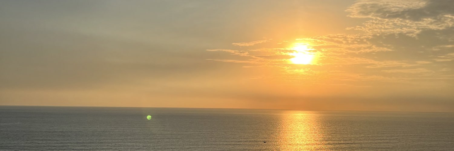 linschneider_'s profile banner image