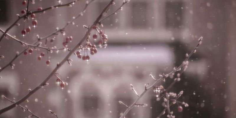 molla_2021's profile banner image