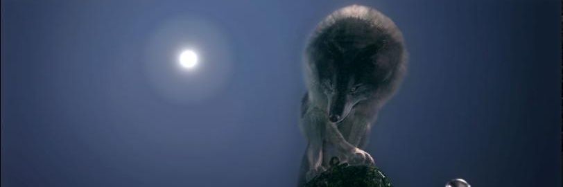WhnMoon's profile banner image