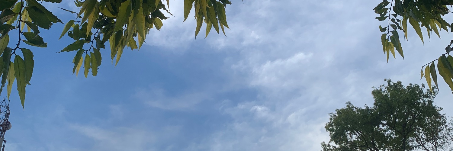 satyamdubbey's profile banner image
