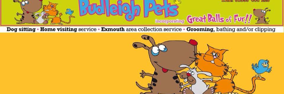BudleighPets's profile banner image