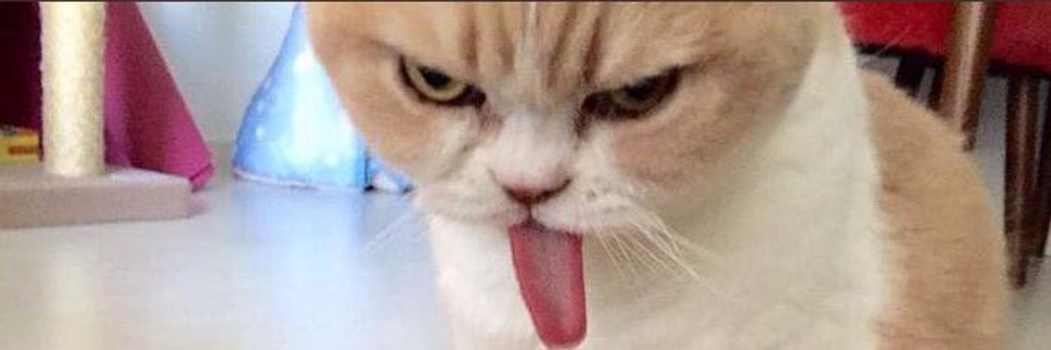 stancavicius's profile banner image