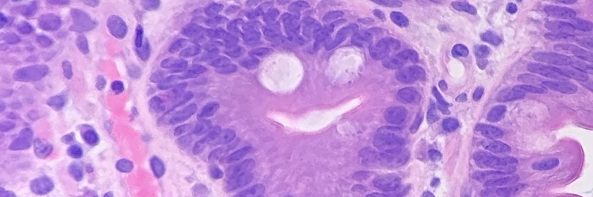 mrssgibson's profile banner image