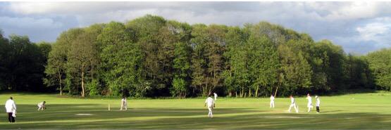 Four Oaks Saints CC banner