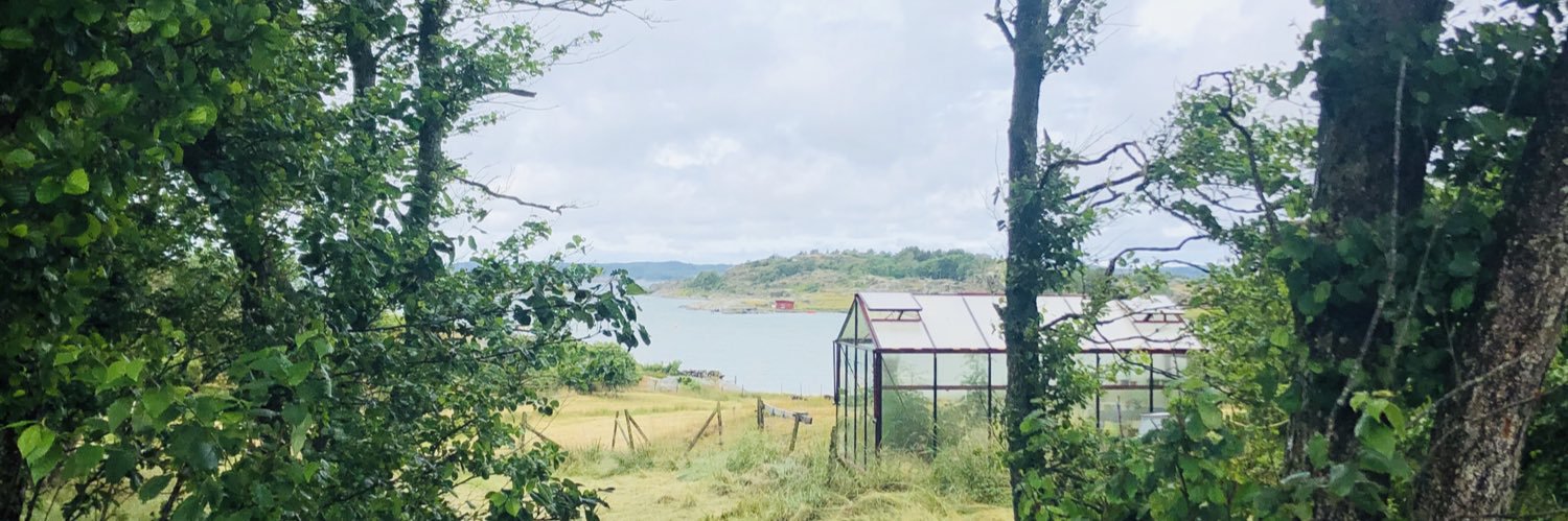 Emma Sofia 🐈🌱🥀 banner