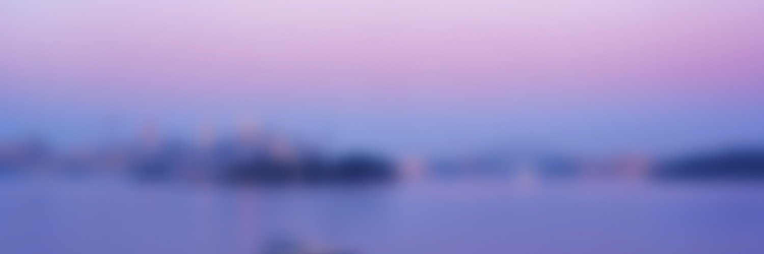 Gordana Sutej banner