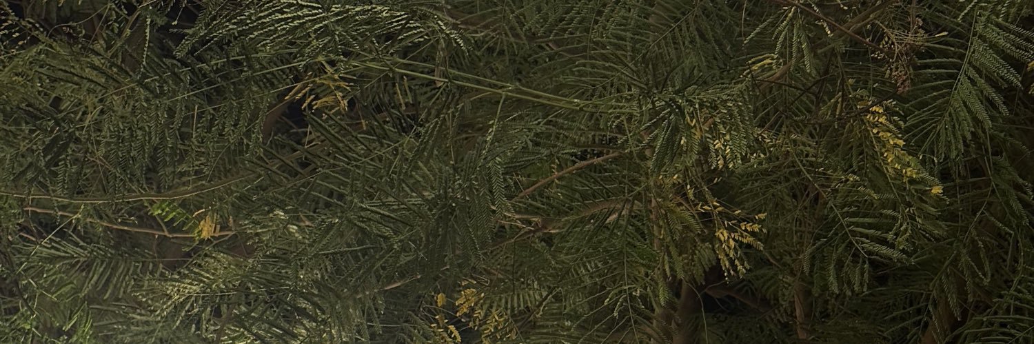 ayatnayem's profile banner image
