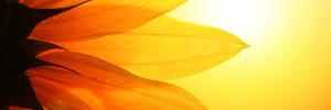 AlybParamo's profile banner image