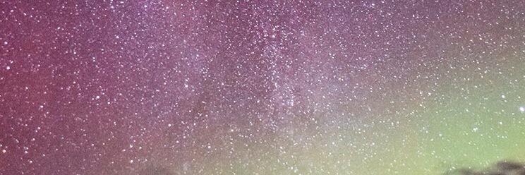 tooklaedee banner
