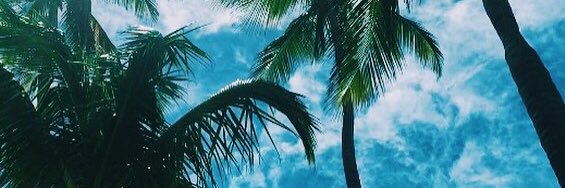jackieoill's profile banner image