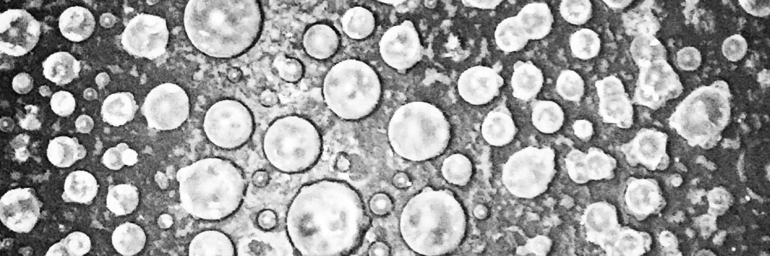 Une Année Brewery banner