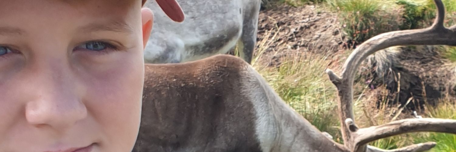 burt3371's profile banner image