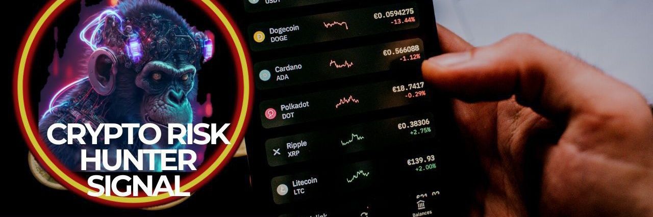 cryptoriskhunt's profile banner image