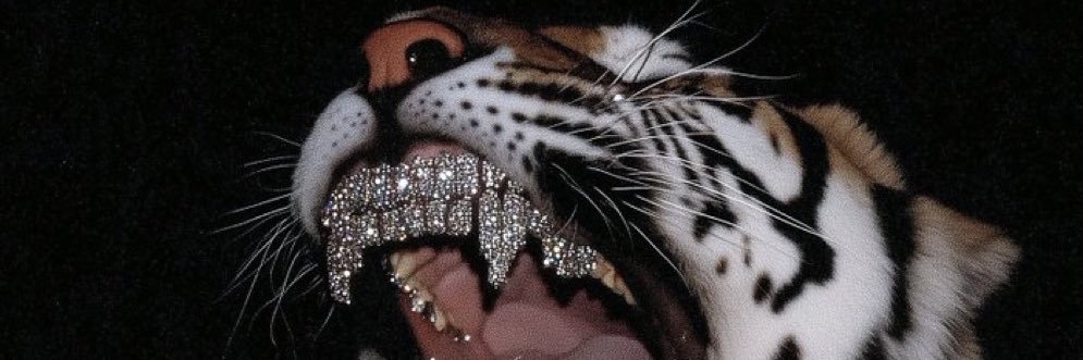ta_guapo's profile banner image