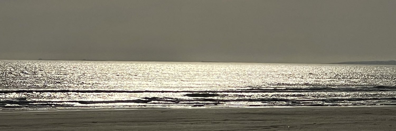 ropoliii's profile banner image