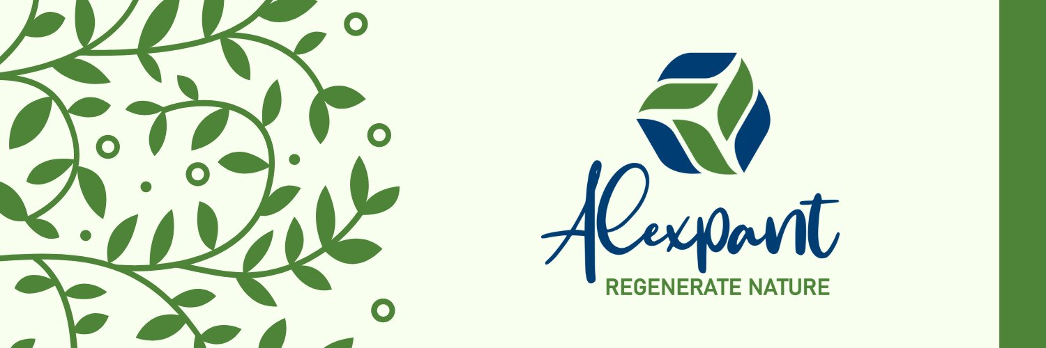ALEXPANT_Ltd's profile banner image