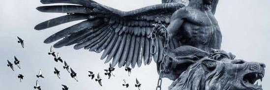 baris_z's profile banner image
