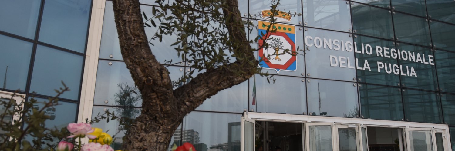 napoleonecera's profile banner image