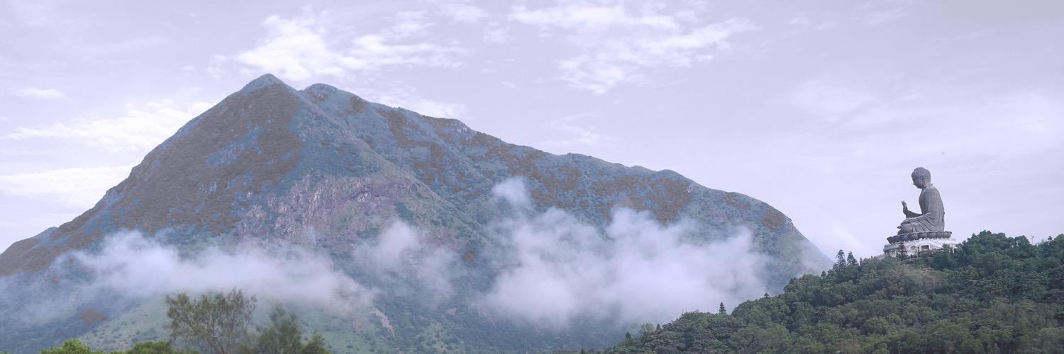 carlosloois's profile banner image
