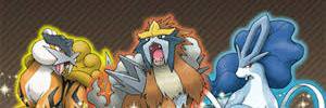 BridgettM89's profile banner image