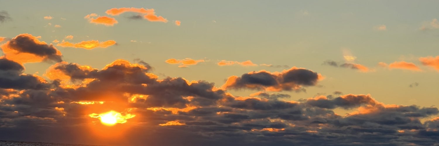 tanberg28's profile banner image
