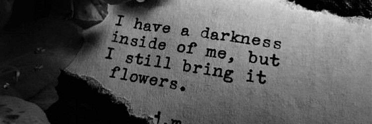 Nova Leigh Walker banner