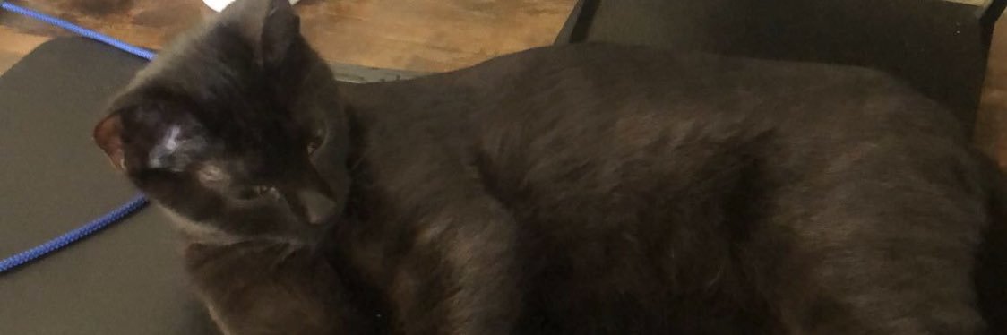 Jackson_Bess's profile banner image